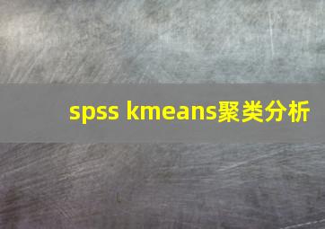 spss kmeans聚类分析